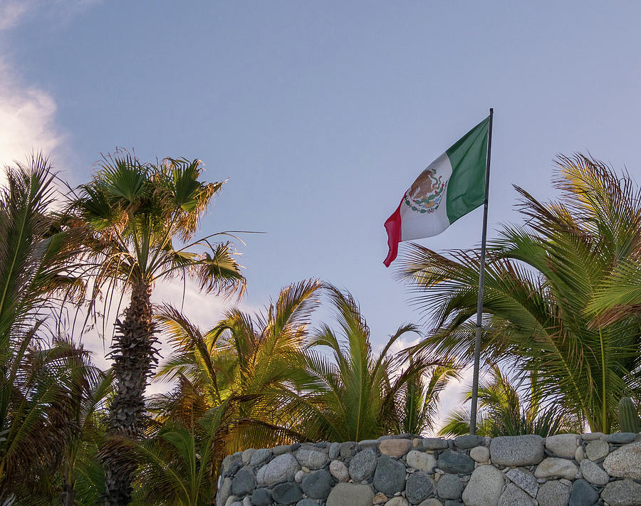 Mexican Flag Photograph by Jean Noren