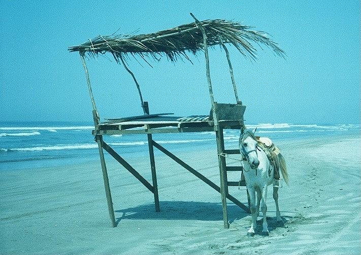 Mexican lifeguard stand Photograph by Fred Bailey