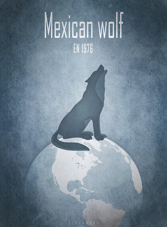 Mexican wolf - lobo Digital Art by Moira Risen