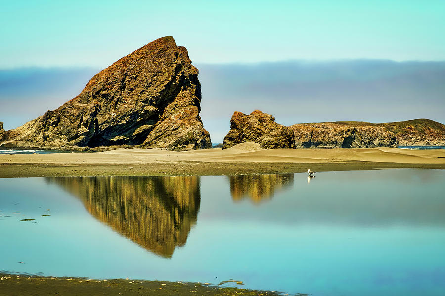 Meyers Beach Reflections - Oregon  Photograph by Stuart Litoff