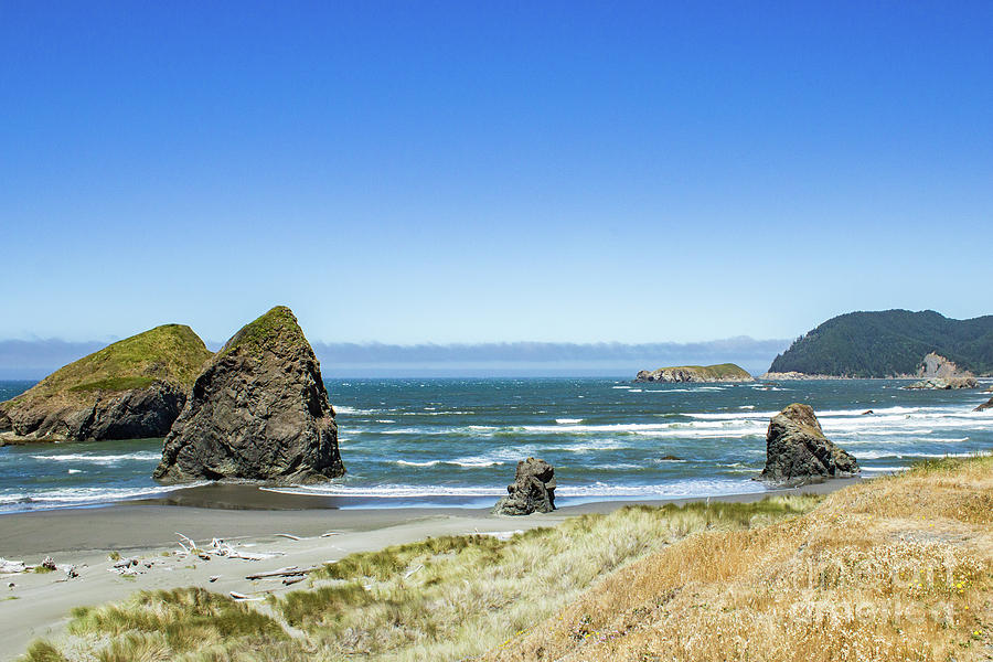 Meyers Creek Beach Photograph by Lisa Lemmons-Powers - Fine Art America