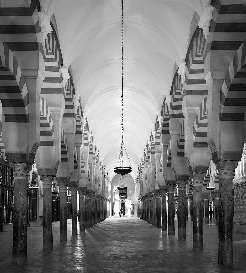 Mezquita Column Row Photograph by Reinhard Schulz