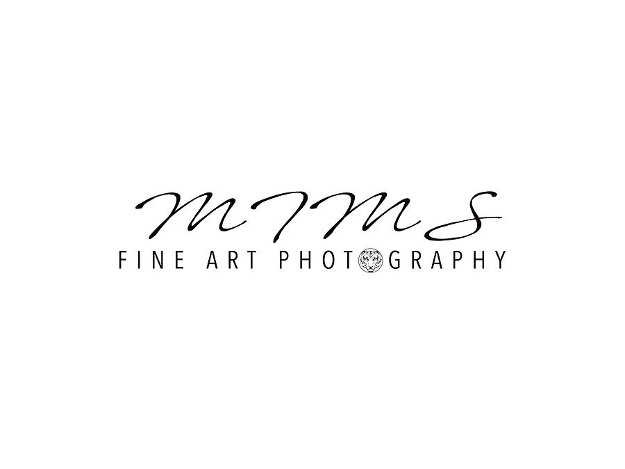 MFA by JD Mims MFA by JD Mims