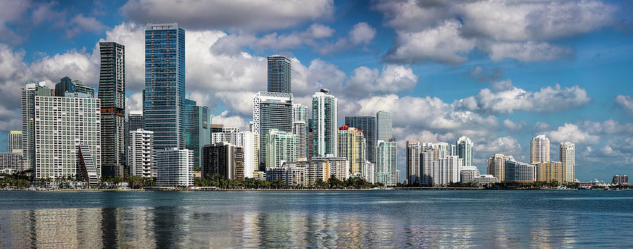 Miami 2019 by Cyndy Doty Miami 2019 by Cyndy Doty