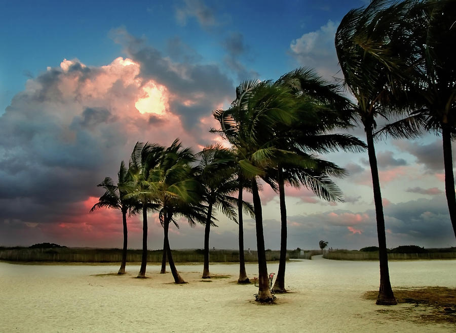 Miami Beach Photograph by Manuel Hurtado