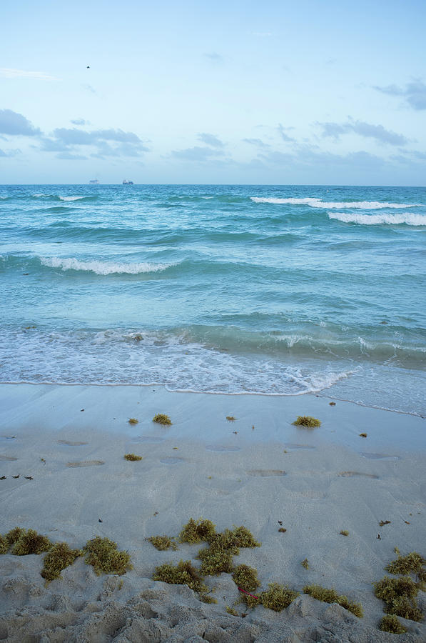 Miami Beach Photograph by Pkujiahe