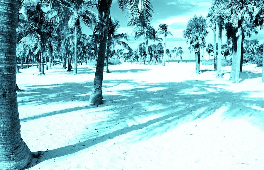 Miami beaches Blues by Jackie Mestrom Miami beaches Blues by Jackie Mestrom
