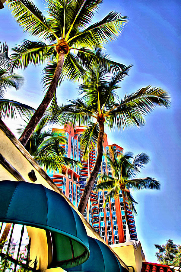 Miami Canopies by Alice Gipson Miami Canopies by Alice Gipson