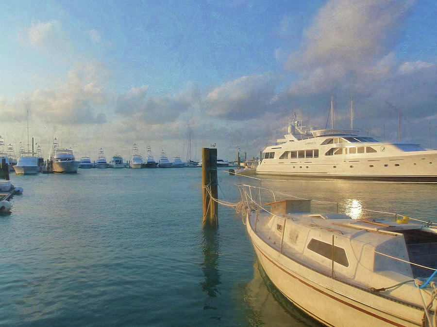 Miami Harbor Photograph by JAMART Photography
