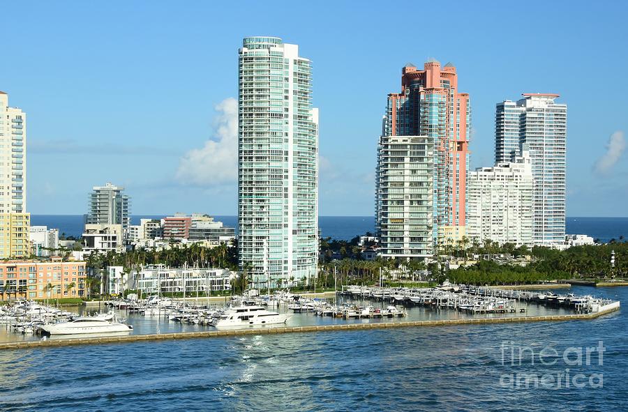 Miami Marina Photograph