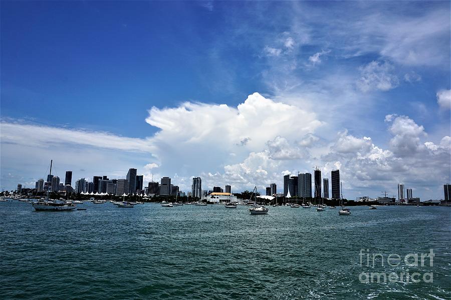 Miami4 Photograph by Merle Grenz