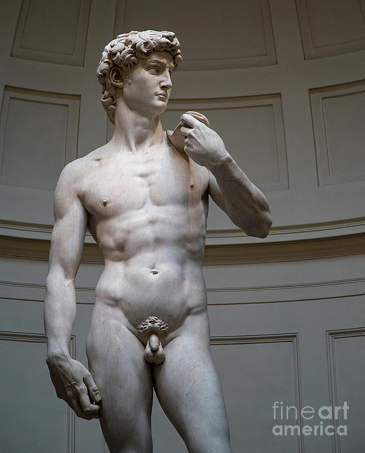 Michelangelo David Marble Statue, Accademia Gallery, Florence, Italy Art Print 2 Photograph by Wayne Moran