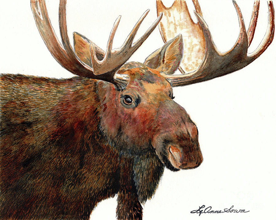 Michelangelo Moose Painting by LeAnne Sowa