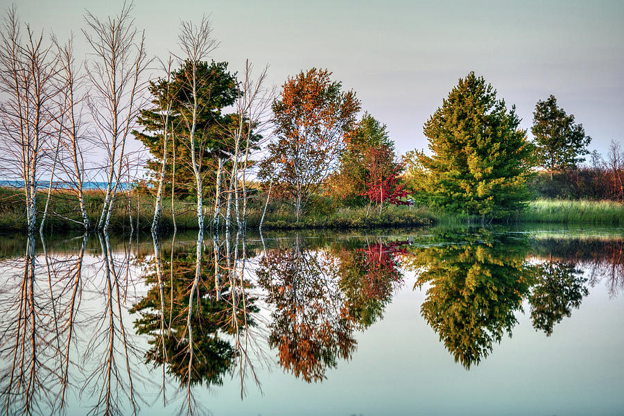 Michigan Reflections Photograph by Paul Freidlund
