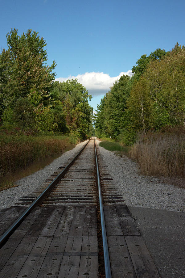 Michigan Tracks Photograph