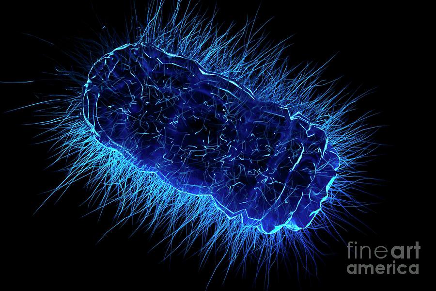 Bacteria Photograph - Microbe by Giroscience/science Photo Library