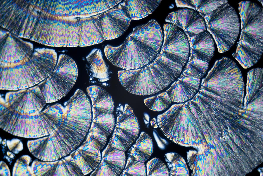 Microcrystals Photograph by Zoonar Rf