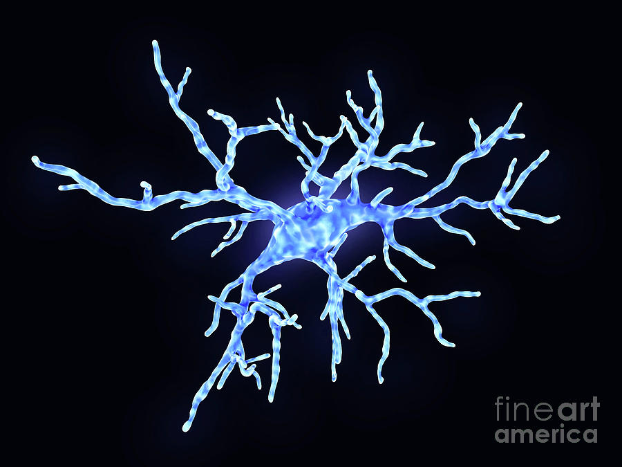 Microglial Cell Photograph by Juan Gaertner/science Photo Library