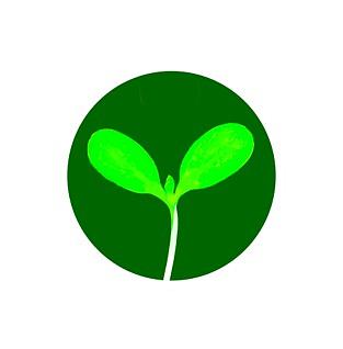 Microgreen graphic on light backgrounds Drawing by Charlie Szoradi Microgreen graphic on light backgrounds Drawing by Charlie Szoradi