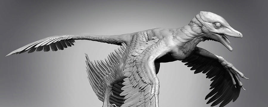 Microraptor Dinosaur On Gray Background Photograph by Robert Fabiani
