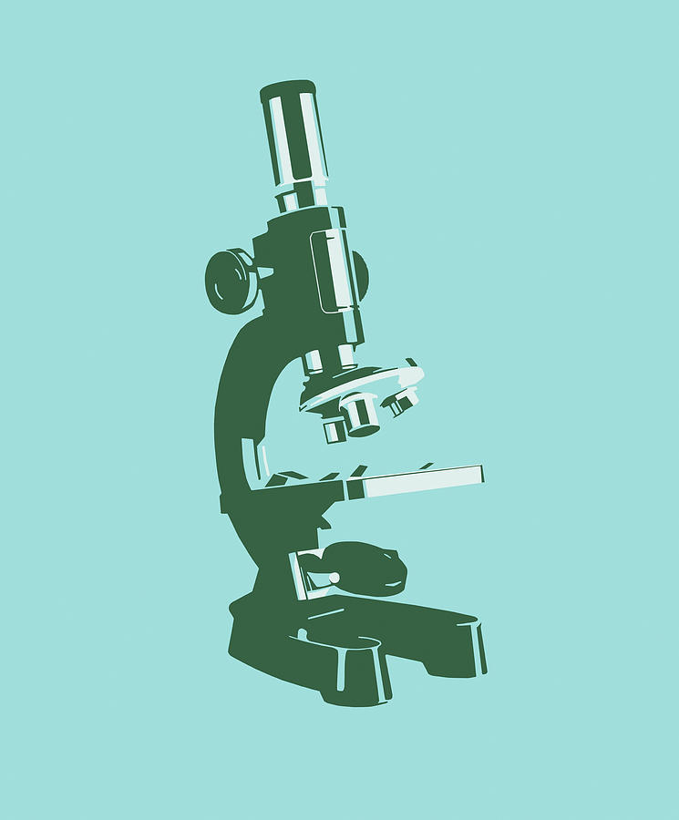 Vintage Drawing - Microscope by CSA Images