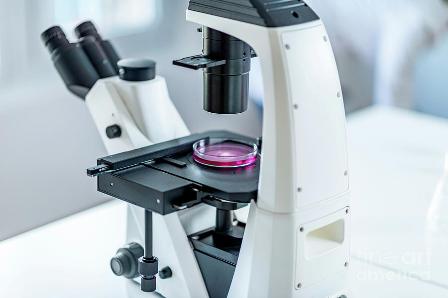 Microscope In Laboratory Photograph by Microgen Images/science Photo Library