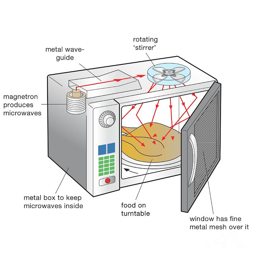 Microwave oven, Science & Facts