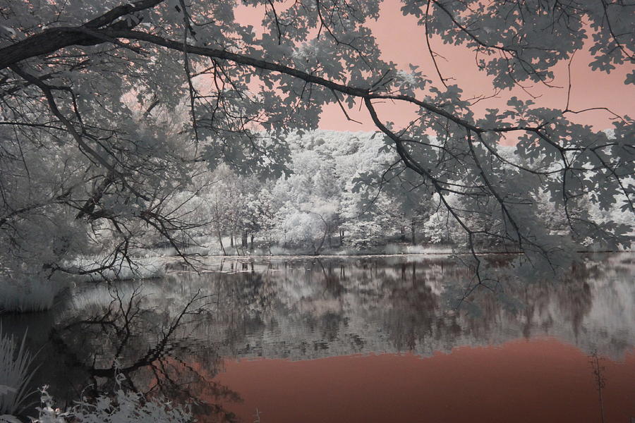 Mid America Buddhist Association Infrared pond Augusta Missouri Photograph by Jane Linders