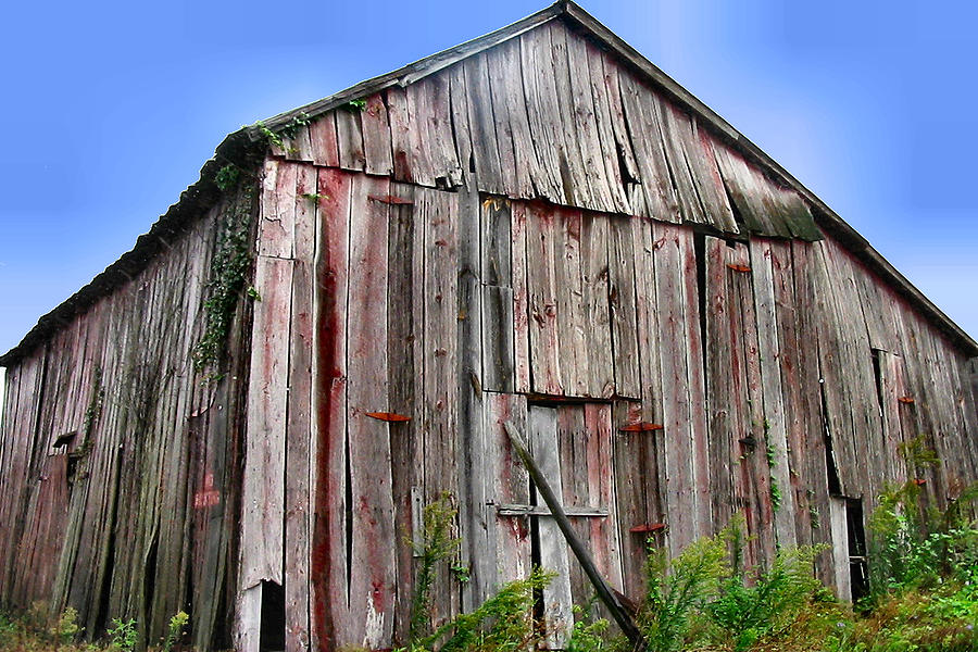 Mid - Atlantic Tough Wood Barn Photograph by Lin Grosvenor