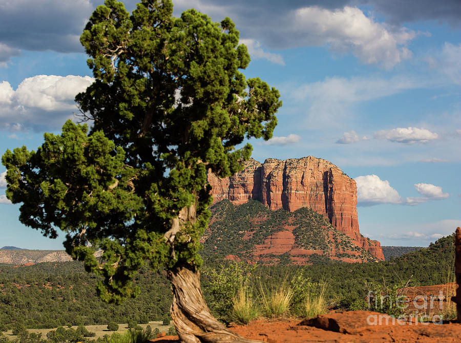 Midday in Sedona Photograph by Agnes Caruso