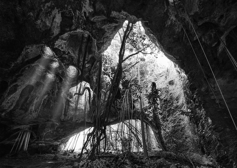 Matt Photograph - Middle Caicos Cave In Bw by Matt Anderson