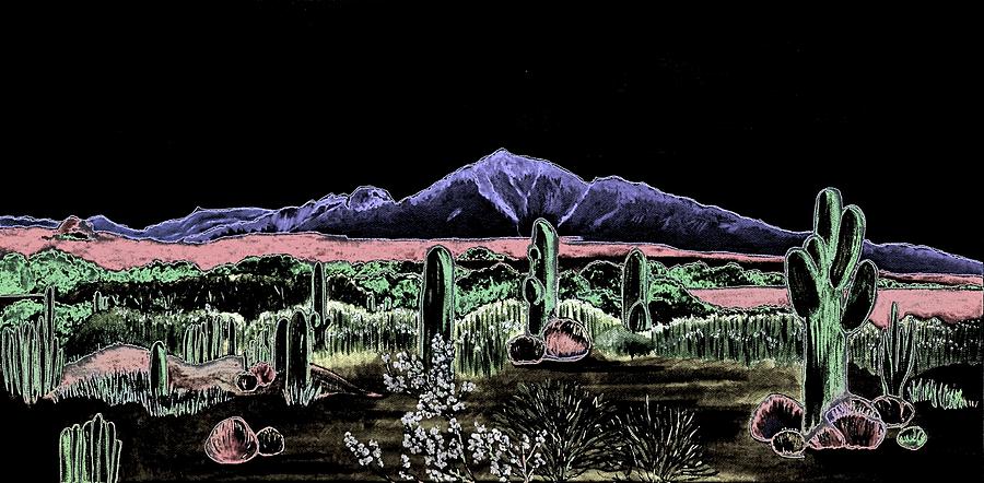 Midnight Camelback by Sonja Jones Midnight Camelback by Sonja Jones