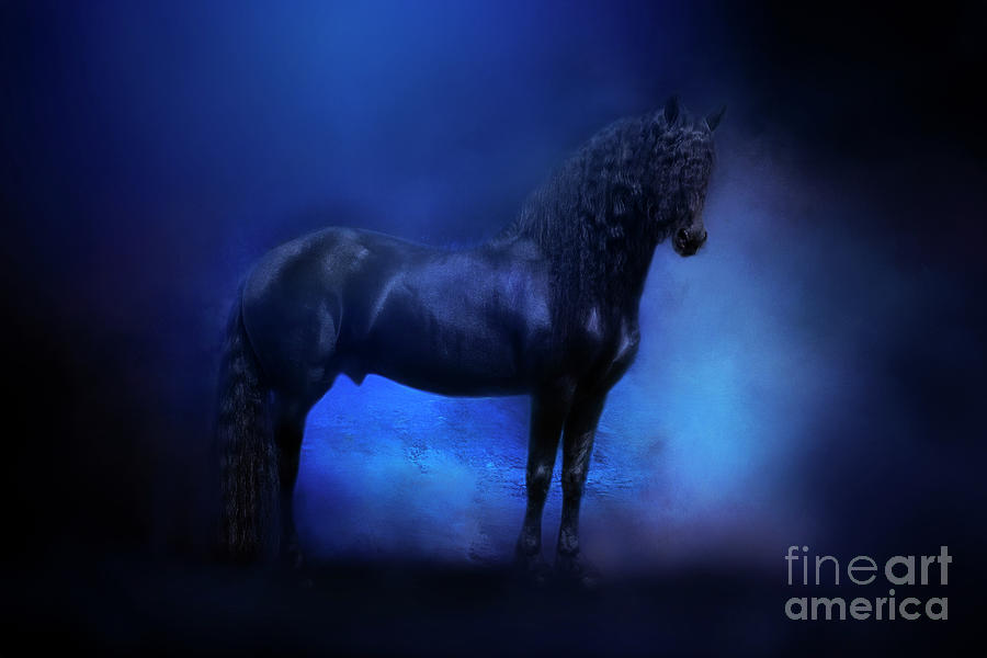 Midnight Friesian Photograph by Michelle Wrighton