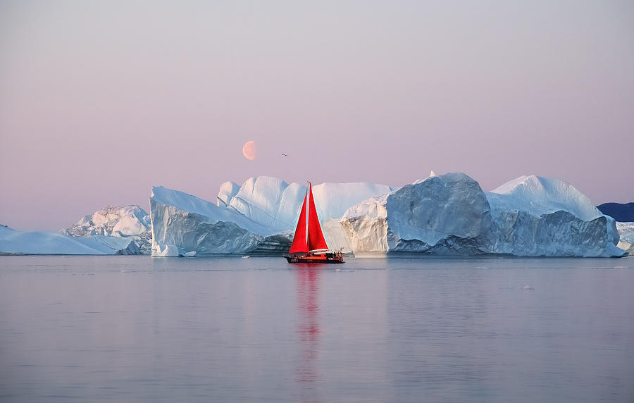 Midnight  Greenland Photograph by Yang Jiao