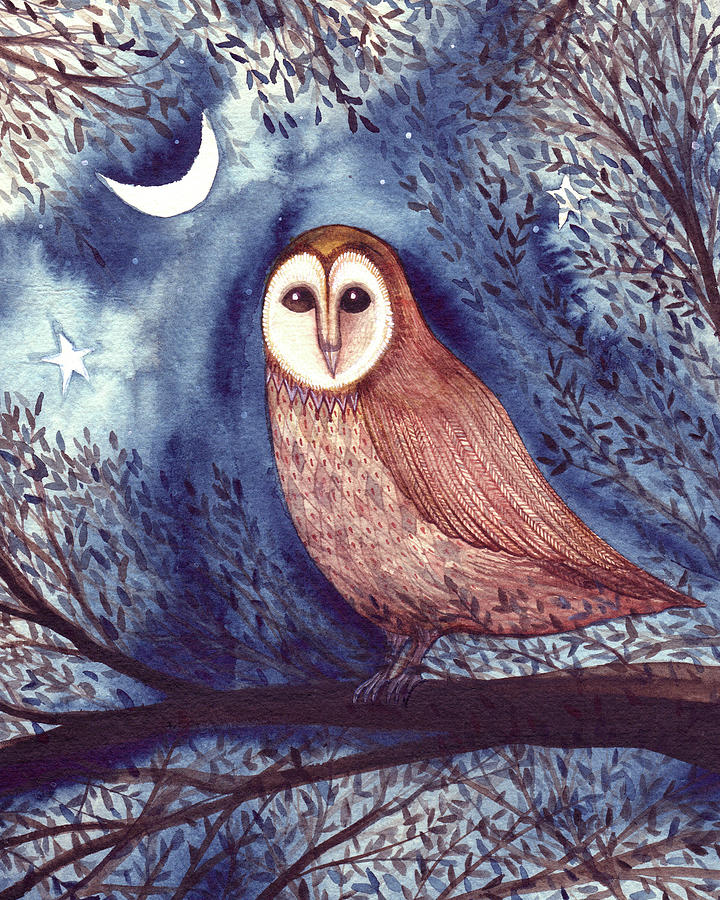 Owl Photograph - Midnight Owl by Janice Macdougall