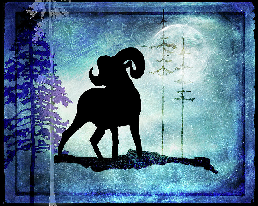 Animals Mixed Media - Midnight Sheep by Lightboxjournal Animals Mixed Media - Midnight Sheep by Lightboxjournal