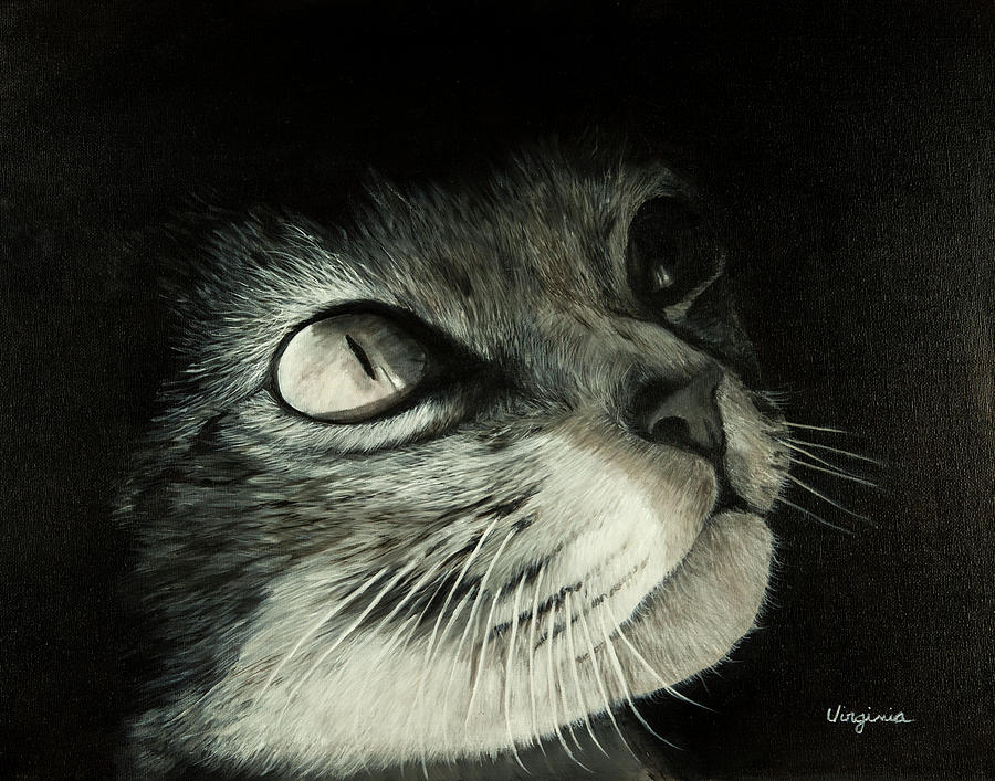Cat Painting - Midnight by Virginia Butler