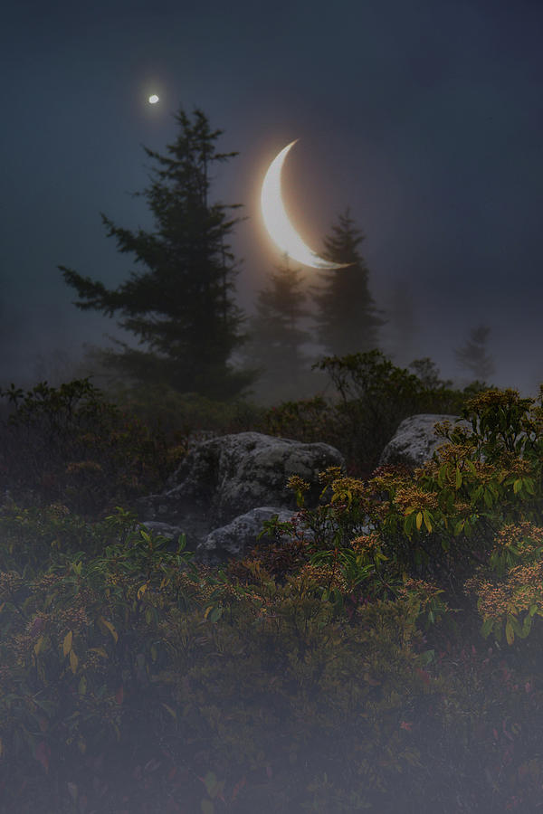Midnights Dream Photograph by Lisa Lambert-Shank