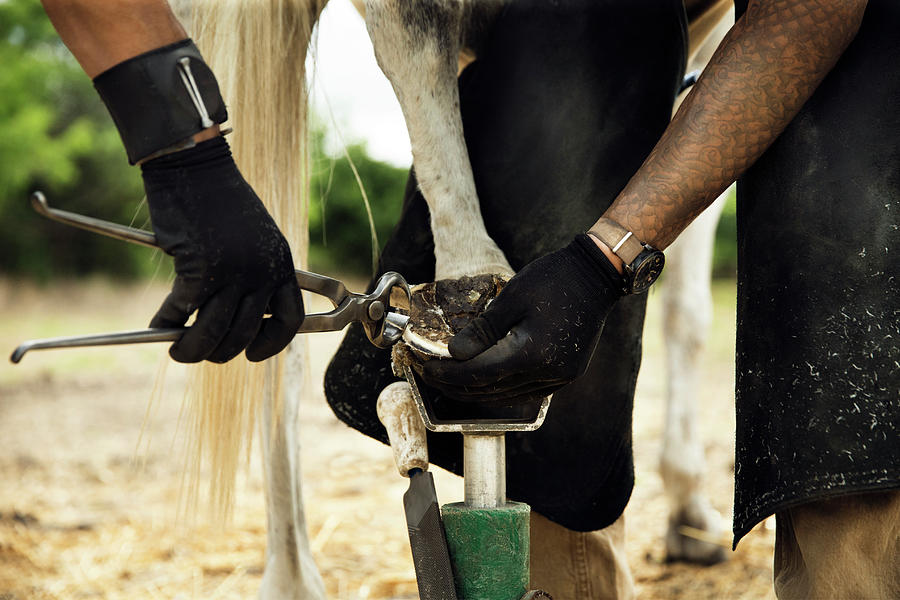 Pliers Photograph - Midsection Of Farrier Putting Shoe To Horse While Standing On Field by Cavan Images