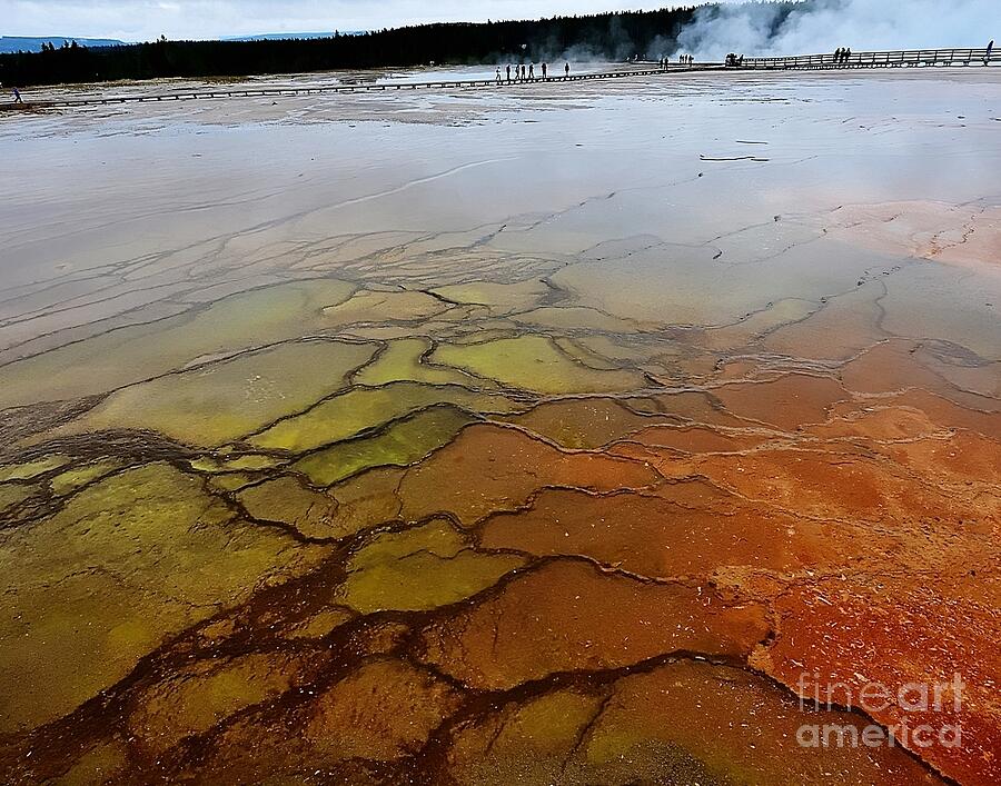 Midway Geyser Basin  Photograph by Steve Brown