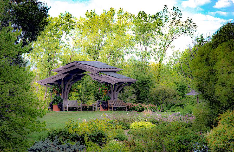 Midwest Arbor Photograph by Diane Lindon Coy