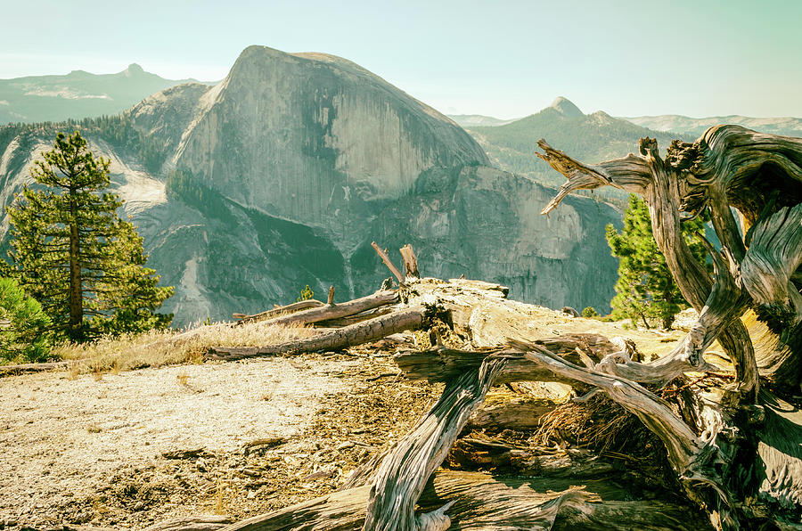 Yosemite National Park Photograph - Mighty Half Dome 1 by Joseph S Giacalone