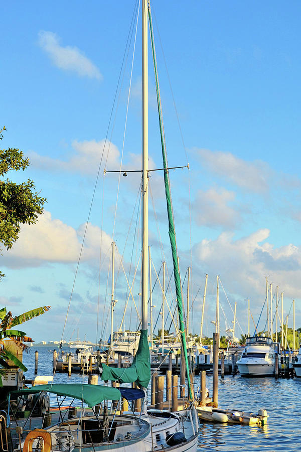 Mighty Masts Photograph by JAMART Photography