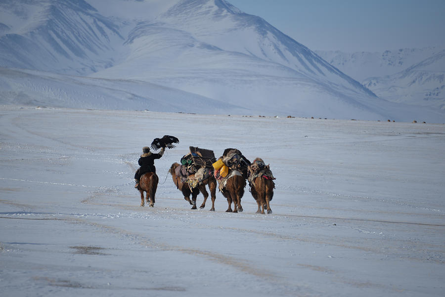 Migration Of The Eagle Hunters In Western Mongolia Photograph by Myriam ...