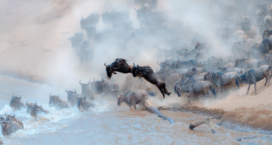 Panorama Photograph - Migration To The Maasai River by Jie Fischer Panorama Photograph - Migration To The Maasai River by Jie Fischer