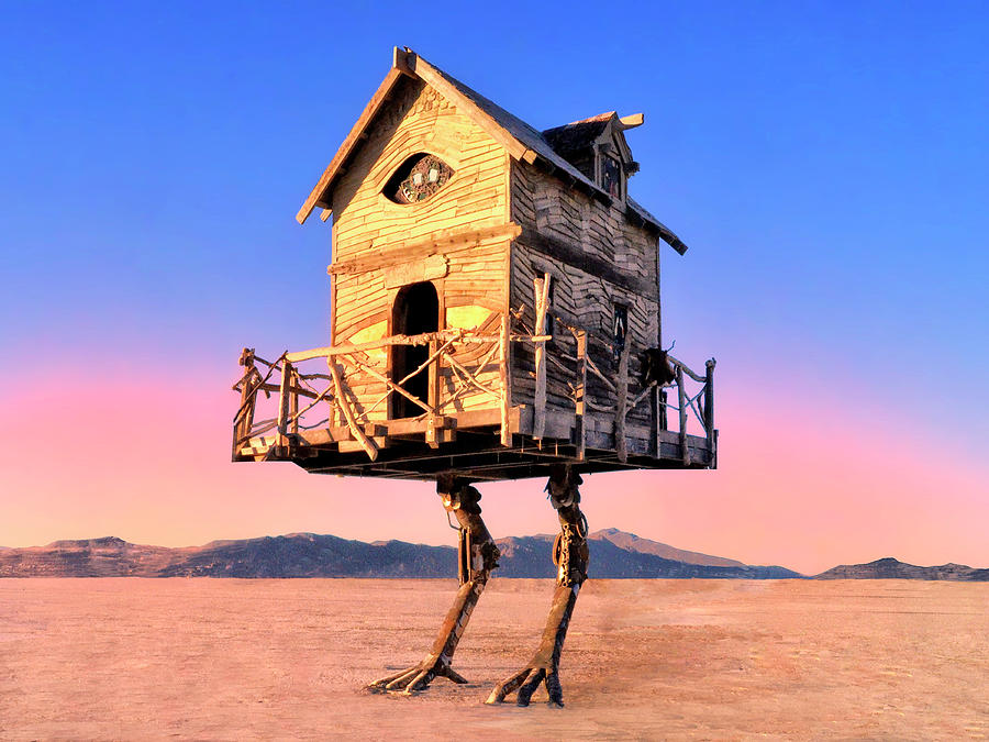 Migratory Bird House Photograph by Dominic Piperata