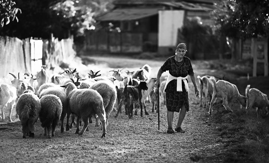 Black And White Photograph - Mihaesti Village by Julien Oncete