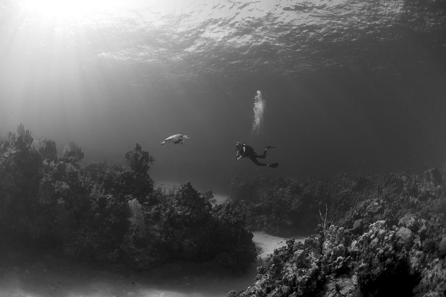 Mike And The Turtle Photograph by Natalia Martin De Pablos | Fine Art ...