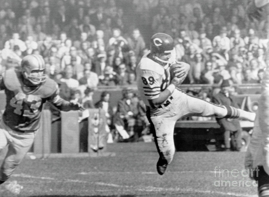 Mike Ditka Running With Ball Photograph by Bettmann Mike Ditka Running With Ball Photograph by Bettmann