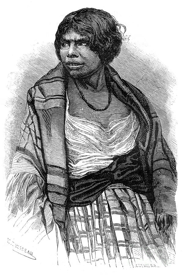 Henri Rousseau Drawing - Mikmaq Woman, Cape Breton, Nova Scotia by Print Collector